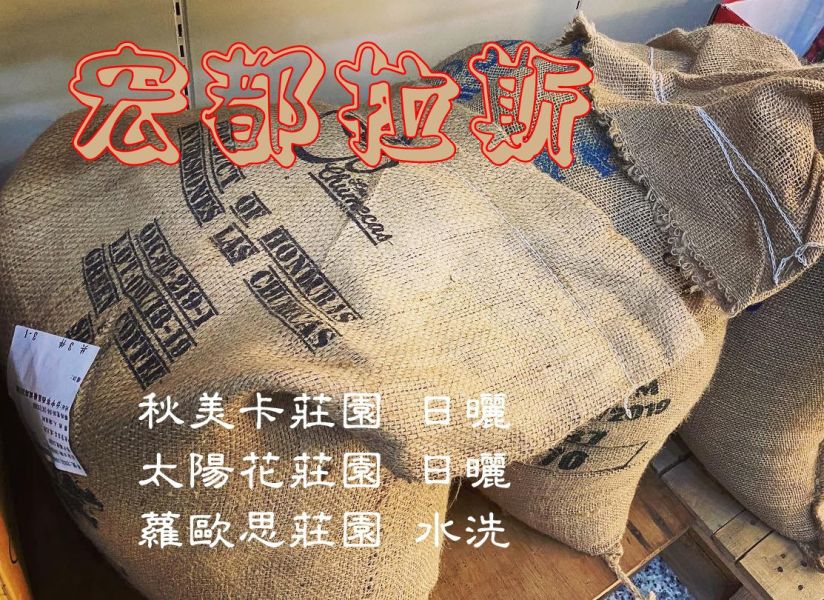【生咖啡豆】宏都拉斯 蘿歐思莊園 日曬│太陽花莊園 日曬│蘿歐思莊園 水洗 【生咖啡豆】宏都拉斯 蘿歐思莊園 日曬│太陽花莊園 日曬│蘿歐思莊園 水洗 帕拉伊內碼+倫皮拉