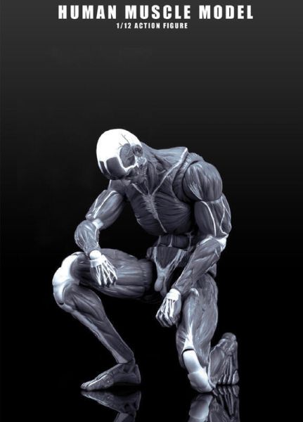 玩具聯合國 預購免訂金 Human Muscle Model 玩朝玩具 1/12 肌肉人 紅色 灰色 巨人 