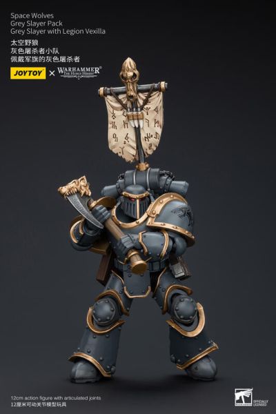 玩具聯合國★ 預購免訂金 joytoy 暗源 太空野狼 胡薩爾侍衛 佩戴軍旗的灰色屠殺者 灰色屠殺者小隊 