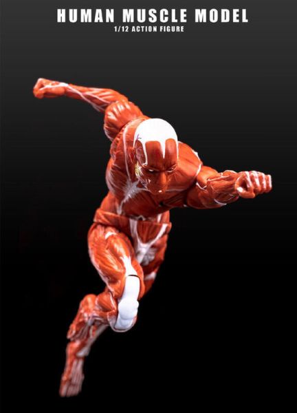 玩具聯合國 預購免訂金 Human Muscle Model 玩朝玩具 1/12 肌肉人 紅色 灰色 巨人 