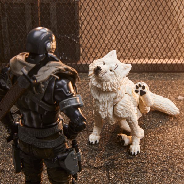玩具聯合國★ 預購免訂金 G.I.JOE GIJ 特種部隊 6吋 蛇眼 + 白狼 Snake Eyes & Timber 