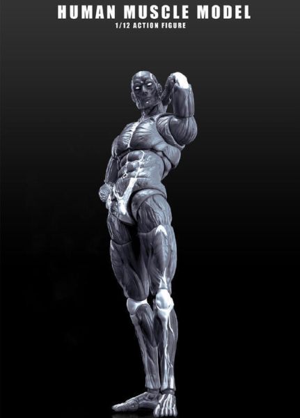 玩具聯合國 預購免訂金 Human Muscle Model 玩朝玩具 1/12 肌肉人 紅色 灰色 巨人 