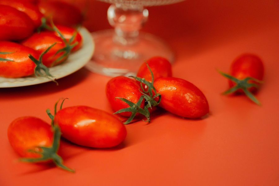 免運│玉女小番茄產銷履歷│溫室栽種 