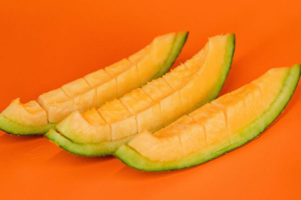 免運 | 卡蜜拉哈密瓜2台斤 (溫室) 