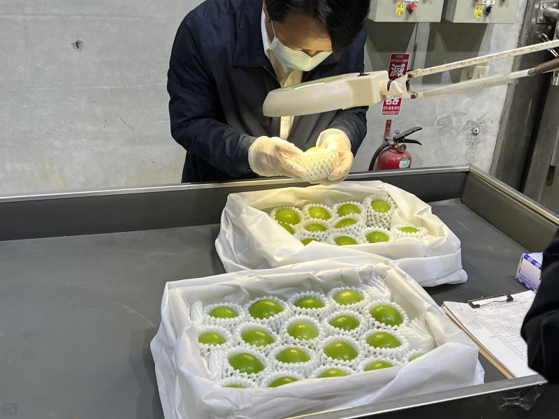宅配日本到府｜台灣蜜棗禮盒 蜜棗 棗子 品利 鮮果 品利農場 品利鮮果  禮盒
水果 蜜棗禮盒