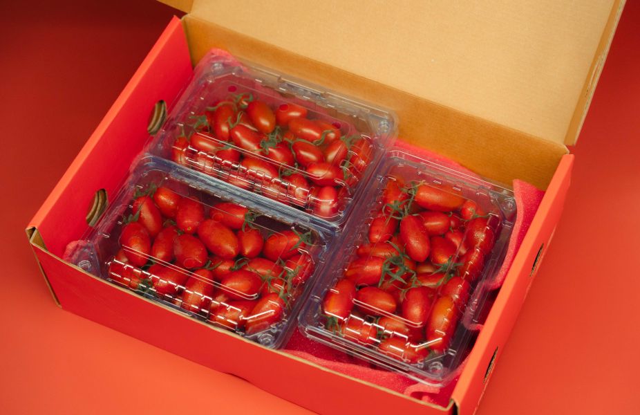 免運│玉女小番茄產銷履歷│溫室栽種 