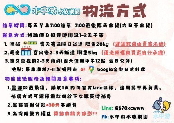 黑球 