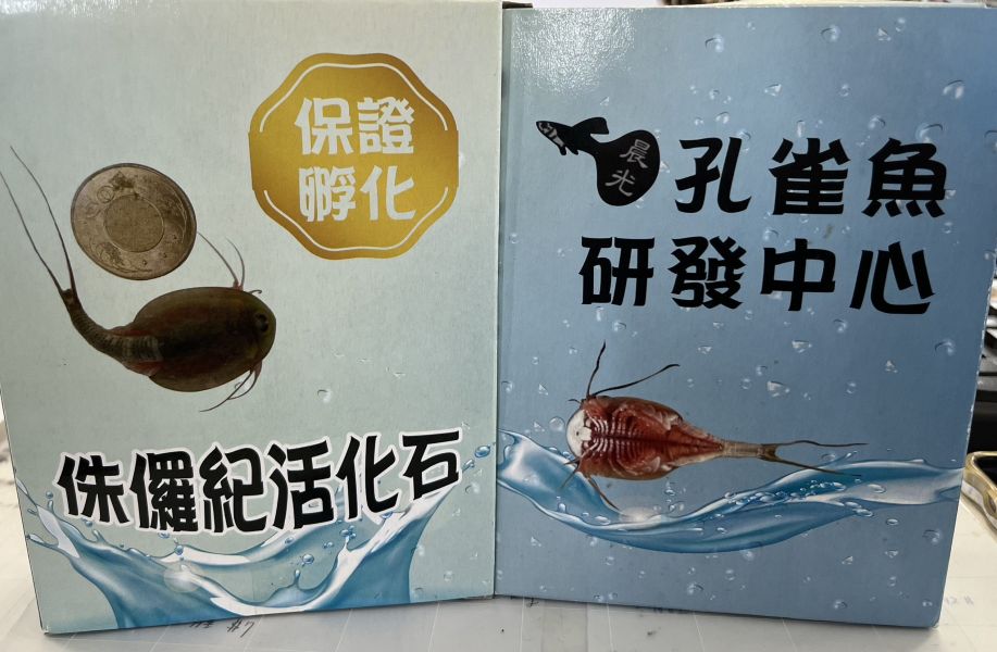 三眼恐龍蝦培養組 