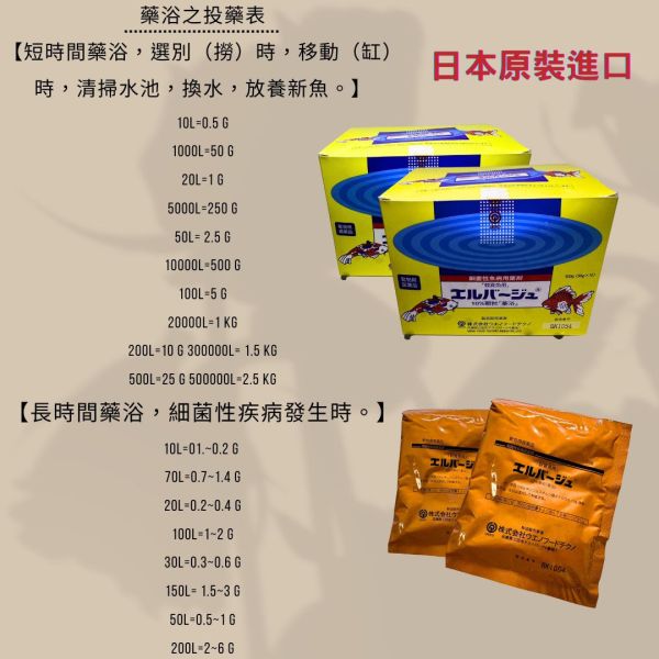 日本進口上野黃粉 