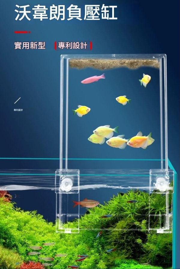 負壓魚缸 
