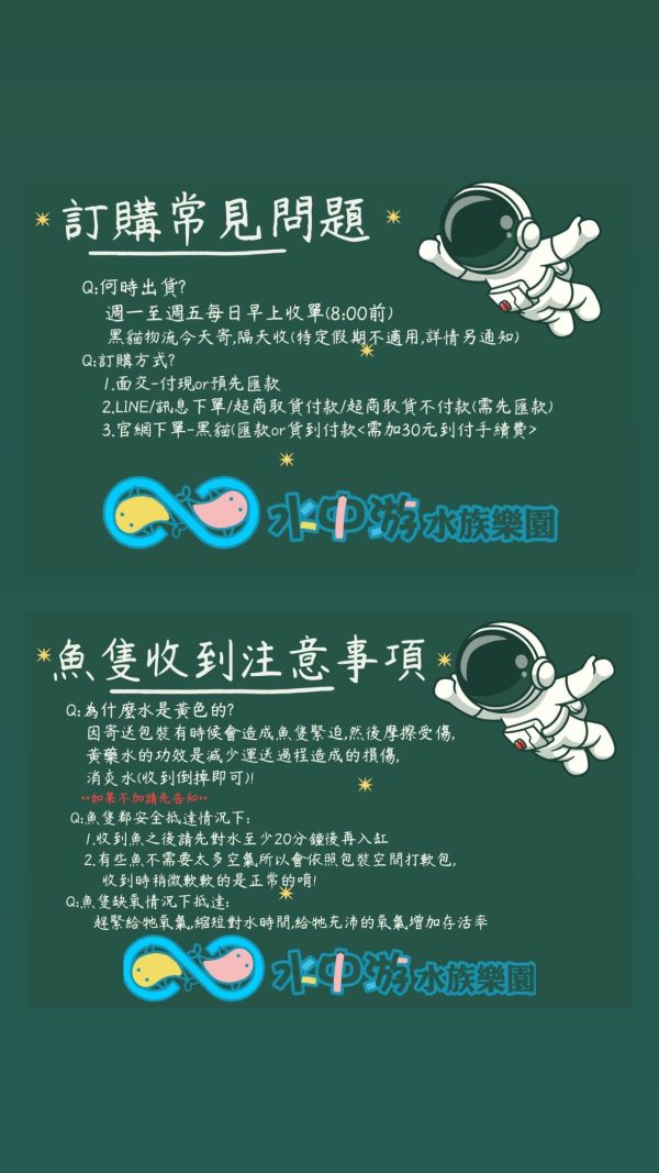 黃鸚鵡魚 