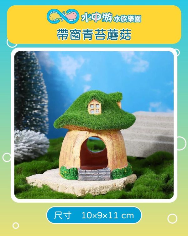 魚缸造景躲避屋／蝦屋／假山 綜合款 