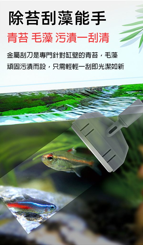 魚缸清潔組 