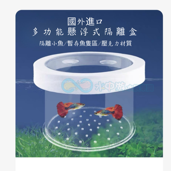 懸浮隔離盒 