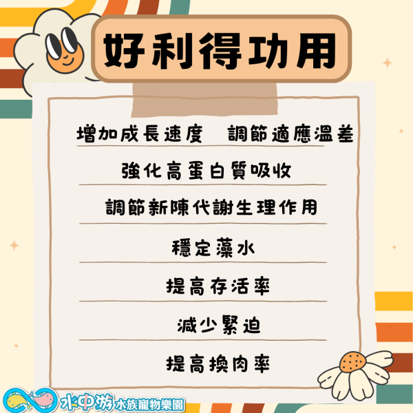 好利得 補體素 好利得,補體素,水族,觀賞魚,觀賞蝦,小型魚,米蝦