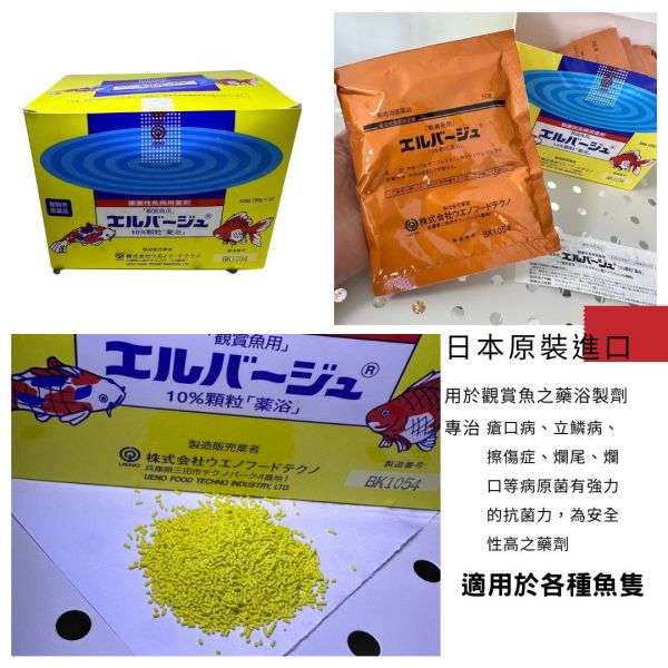 日本進口上野黃粉 