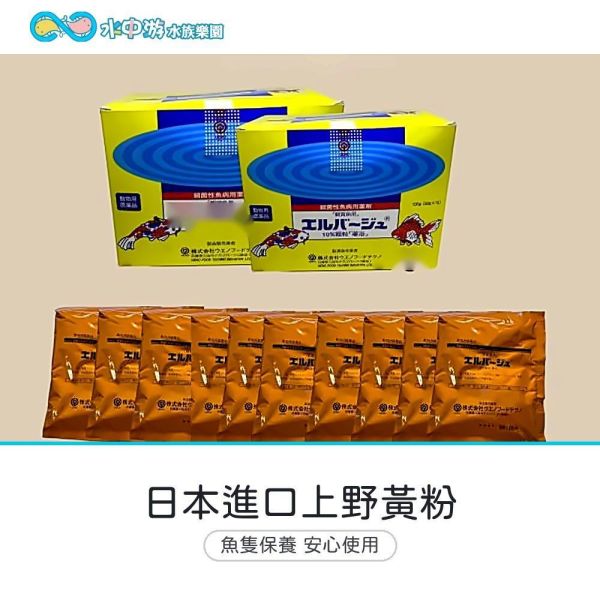 日本進口上野黃粉 