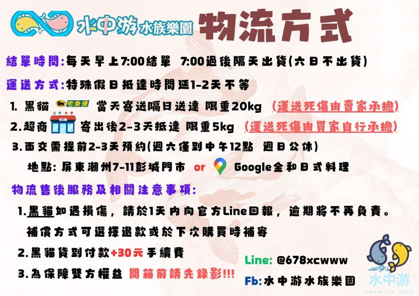 美達卡-三色拉美體外光 美達卡-三色拉美體外光,美達卡,稻田魚,體外光,三色體外光