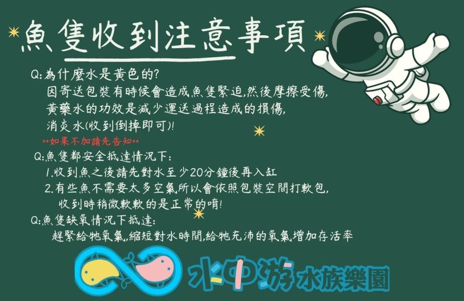 紫藍三角燈 
