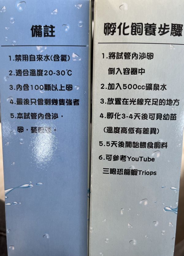 三眼恐龍蝦培養組 