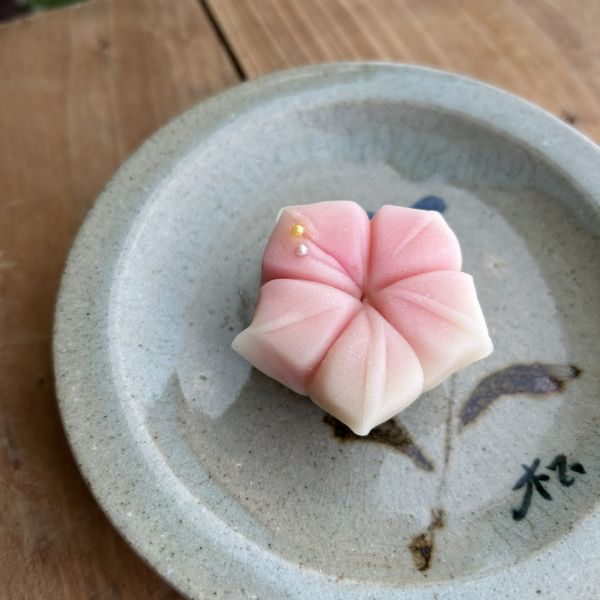 春節限定【6入生菓子禮盒】 日本和菓子,春季和菓子,錦玉羹,抹茶羊羹,和菓子,和果子,草莓大福,銅板美食,日式甜點,和果子體驗,和菓子禮盒