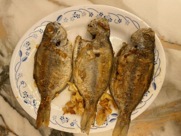野生肉魚 野生,肉魚,營養