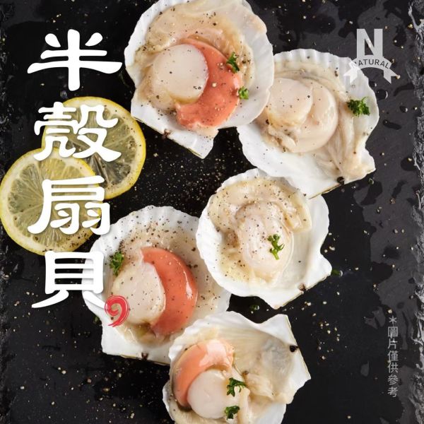 扇貝8/9 扇貝,焗烤扇貝