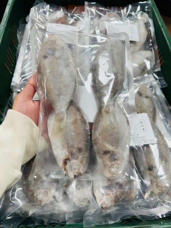 野生肉魚 野生,肉魚,營養