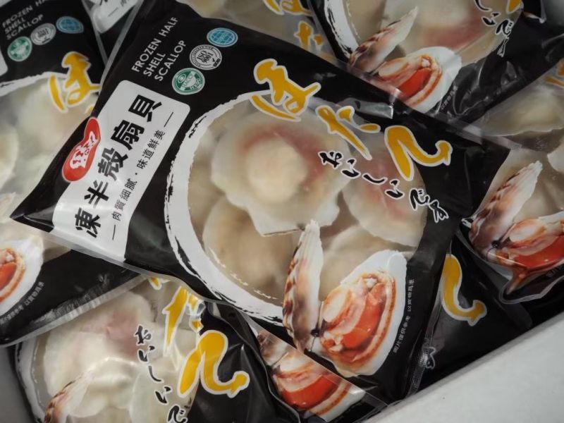 扇貝8/9 扇貝,焗烤扇貝