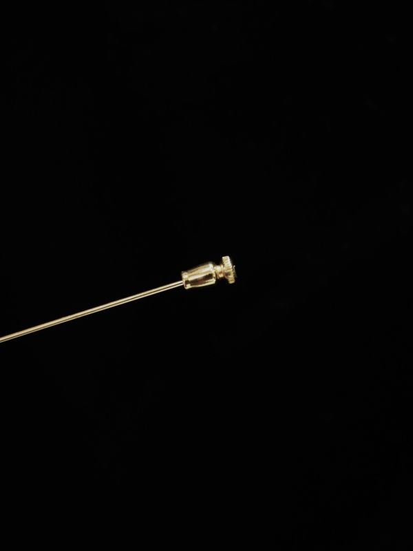 Dior金色領帶別針 #AC481 