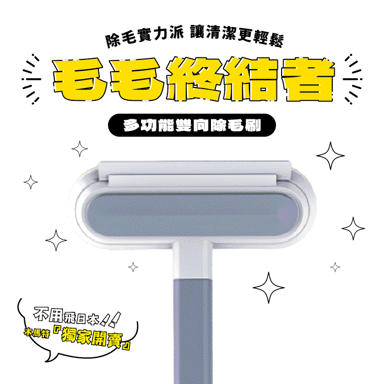 多功能雙向除毛刷 