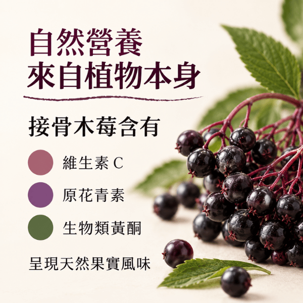 Biotta | 接骨木莓汁 biotta,斷食,Biotta
BIOTTA
接骨木莓汁
Brutus
Brutus Juice
根莖蔬菜汁
綜合蔬菜汁
蔬果原汁
100%蔬菜汁
100%蔬果汁
天然蔬果汁
瑞士蔬果汁
瑞士原裝
生機飲
蔬菜原汁
植物飲
蔬菜飲
健康飲食
每日蔬菜補充
輕斷食
斷食
斷食飲品
Fasting
Clean Eating