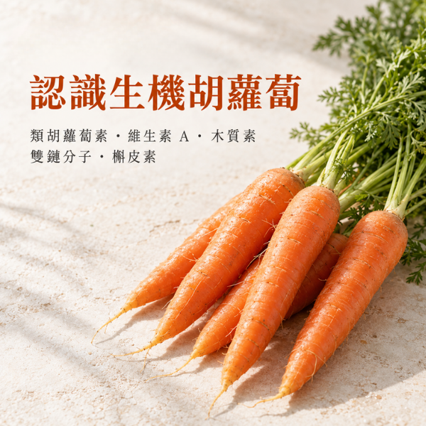 Biotta | 胡蘿蔔汁 biotta,斷食,Biotta
BIOTTA
胡蘿蔔汁 
根莖蔬菜汁
綜合蔬菜汁
蔬果原汁
100%蔬菜汁
100%蔬果汁
天然蔬果汁
瑞士蔬果汁
瑞士原裝
生機飲
蔬菜原汁
植物飲
蔬菜飲
健康飲食
每日蔬菜補充
輕斷食
斷食
斷食飲品
Fasting
Clean Eating