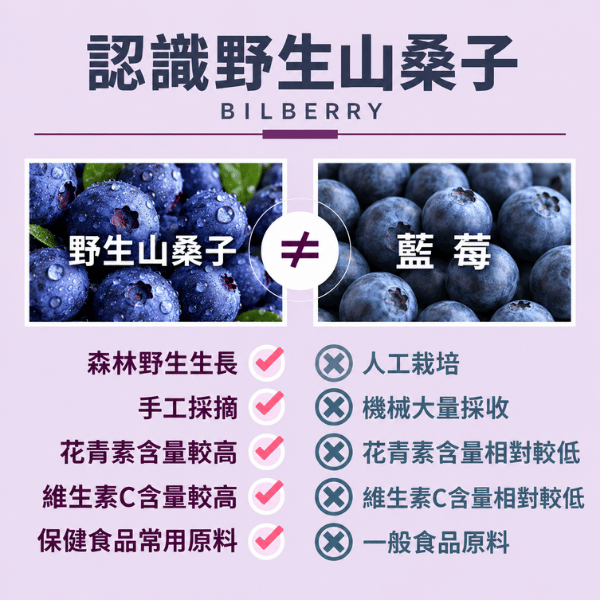 Biotta | 野生山桑子汁 biotta,斷食,Biotta
BIOTTA
布魯斯根莖綜合蔬菜汁
野生山桑子汁
Brutus
Brutus Juice
根莖蔬菜汁
綜合蔬菜汁
蔬果原汁
100%蔬菜汁
100%蔬果汁
天然蔬果汁
瑞士蔬果汁
瑞士原裝
生機飲
蔬菜原汁
植物飲
蔬菜飲
健康飲食
每日蔬菜補充
輕斷食
斷食
斷食飲品
Fasting
Clean Eating
