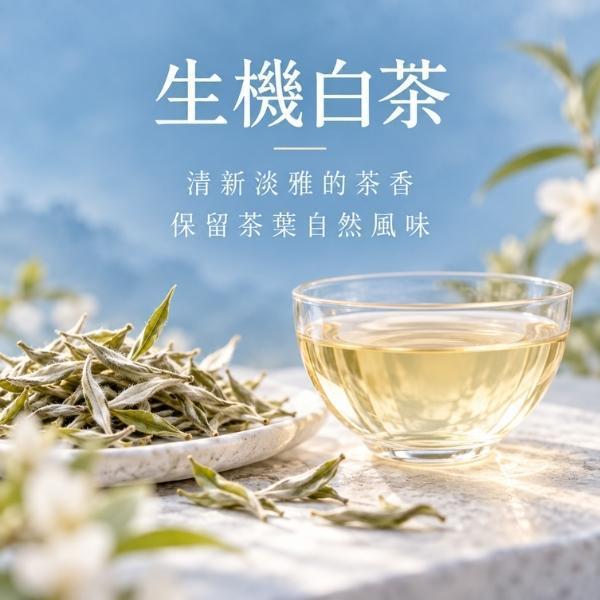 Biotta | 石榴汁 biotta,斷食,Biotta
BIOTTＡ果汁
Brutus
Brutus Juice
根莖蔬菜汁
綜合蔬菜汁
蔬果原汁
100%蔬菜汁
100%蔬果汁
天然蔬果汁
瑞士蔬果汁
瑞士原裝
生機飲
蔬菜原汁
植物飲
蔬菜飲
健康飲食
每日蔬菜補充
輕斷食
斷食
斷食飲品
Fasting
Clean Eating