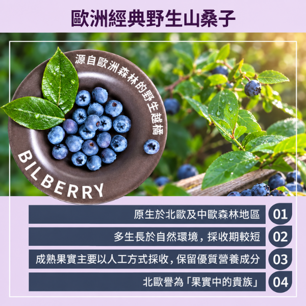 Biotta | 野生山桑子汁 biotta,斷食,Biotta
BIOTTA
布魯斯根莖綜合蔬菜汁
野生山桑子汁
Brutus
Brutus Juice
根莖蔬菜汁
綜合蔬菜汁
蔬果原汁
100%蔬菜汁
100%蔬果汁
天然蔬果汁
瑞士蔬果汁
瑞士原裝
生機飲
蔬菜原汁
植物飲
蔬菜飲
健康飲食
每日蔬菜補充
輕斷食
斷食
斷食飲品
Fasting
Clean Eating
