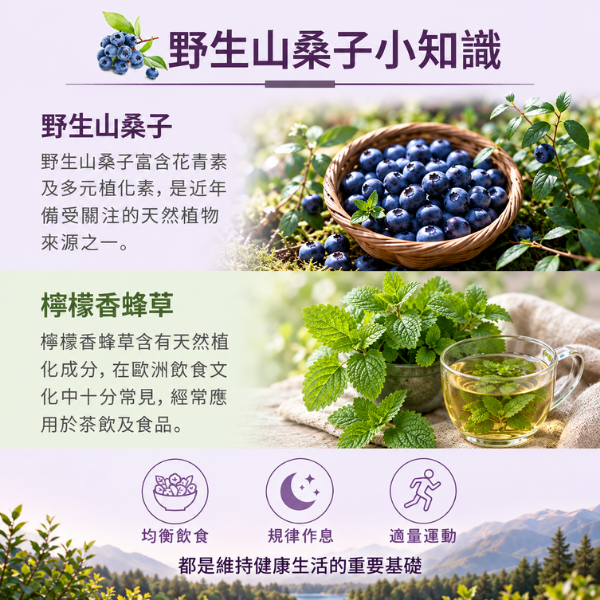 Biotta | 野生山桑子汁 biotta,斷食,Biotta
BIOTTA
布魯斯根莖綜合蔬菜汁
野生山桑子汁
Brutus
Brutus Juice
根莖蔬菜汁
綜合蔬菜汁
蔬果原汁
100%蔬菜汁
100%蔬果汁
天然蔬果汁
瑞士蔬果汁
瑞士原裝
生機飲
蔬菜原汁
植物飲
蔬菜飲
健康飲食
每日蔬菜補充
輕斷食
斷食
斷食飲品
Fasting
Clean Eating