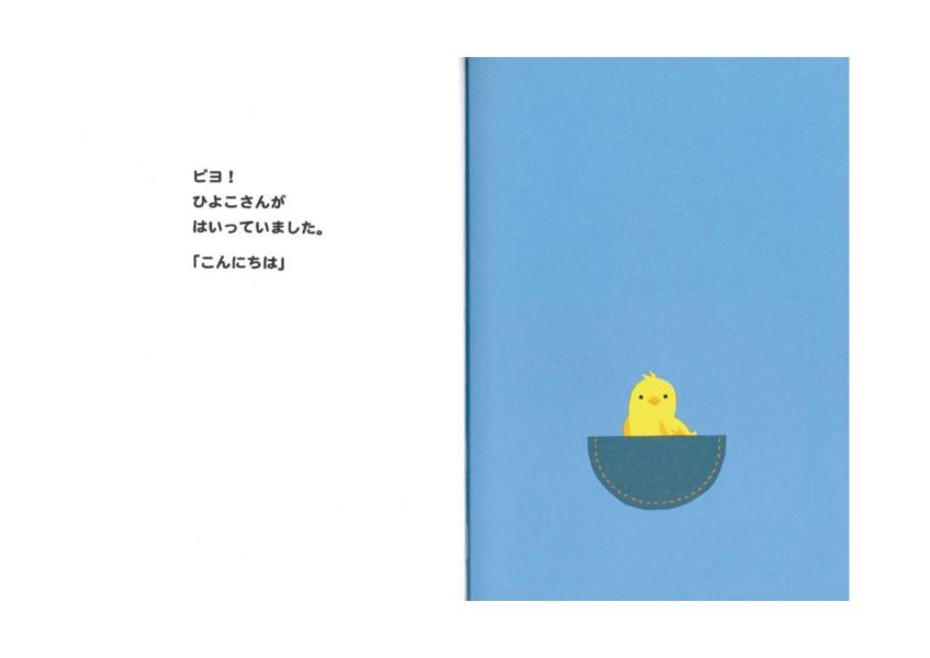 口袋 - 精裝書 