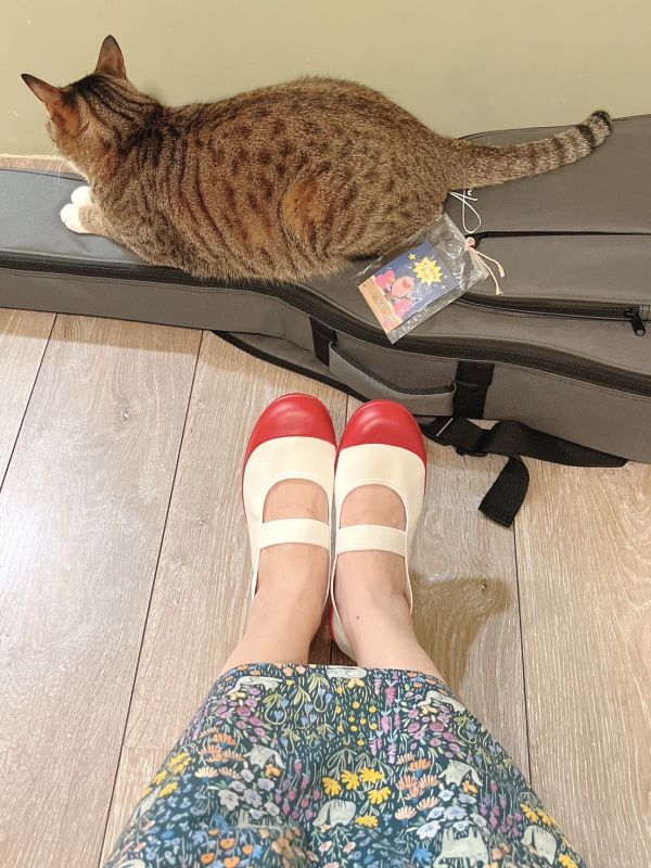日本MOONSTAR大人的室內鞋 