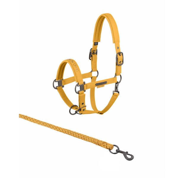 ESKADRON 籠頭套組 (金黃色/3種尺寸可選) 