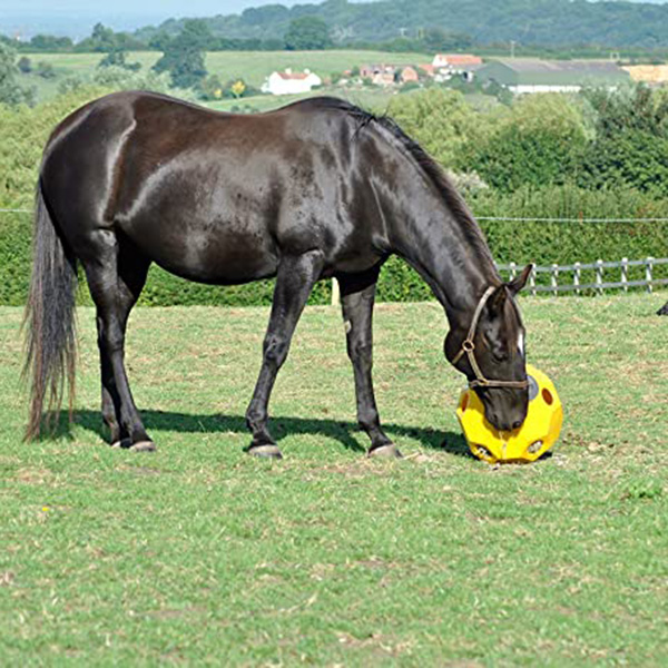 馬用慢食滾動遊戲球(2色可選/43CM) 