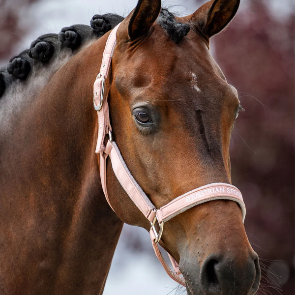 EQUESTRIAN STOCKHOLM 籠頭 (粉紅色/FULL) 