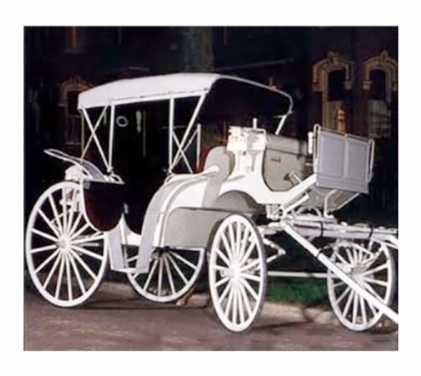 豪華六人座四輪馬車 (B款) 