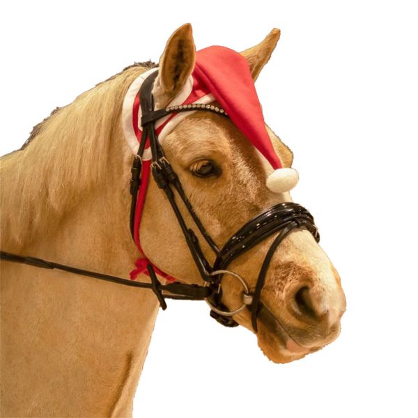 馬用聖誕帽 (FULL) 
