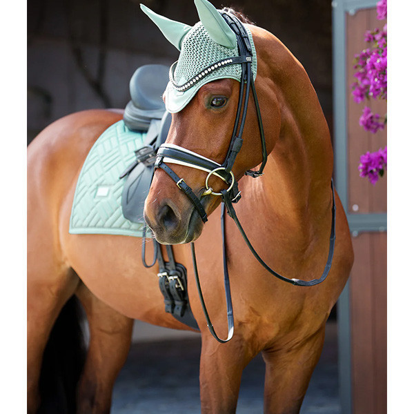 EQUESTRIAN STOCKHOLM 馬場馬術汗墊 (珊瑚紅/薄荷綠/FULL) 
