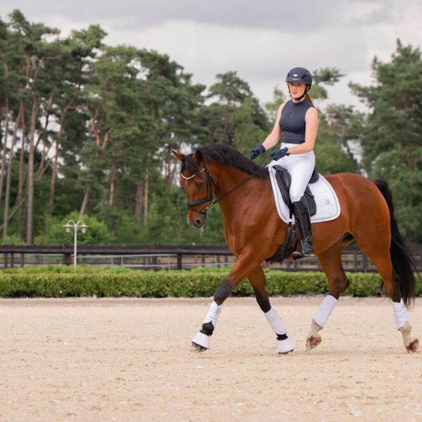 ESKADRON 馬場馬術汗墊 (白色/FULL/碎鑽) 