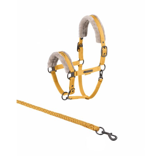 ESKADRON 籠頭套組 (內襯刷毛/金黃色) 