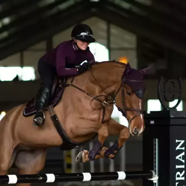 EQUESTRIAN STOCKHOLM 障礙汗墊 (深紫色/FULL) 