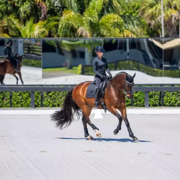 EQUESTRIAN STOCKHOLM 馬場馬術汗墊 (黑色/FULL) 