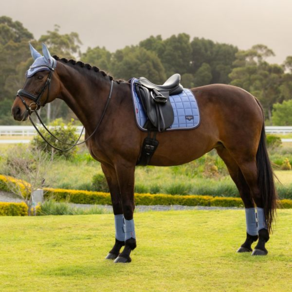 LeMieux 馬場馬術汗墊+護具套組 (粉藍色/FULL/護具四入) 